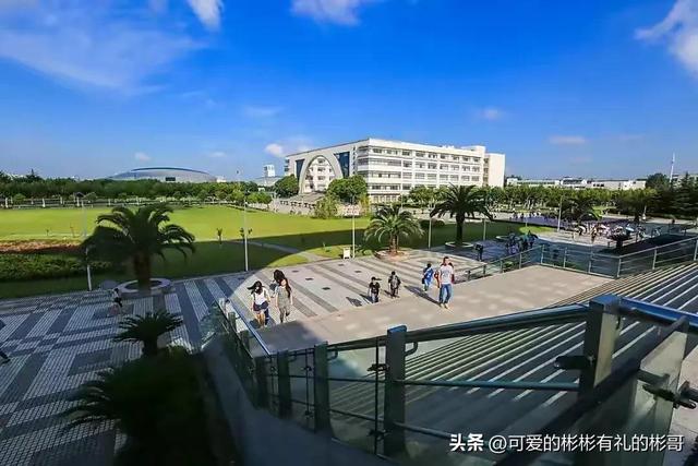 上海对外经贸大学有哪些专业，比较好的王牌重点特色专业（市属重点财经类院校）