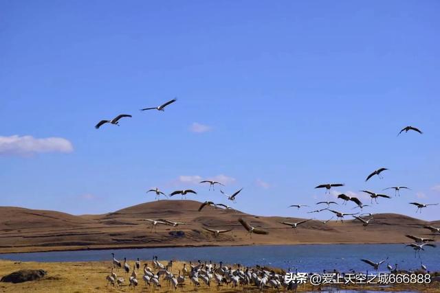 九月份的昭通大山包景观，云南的可可西里