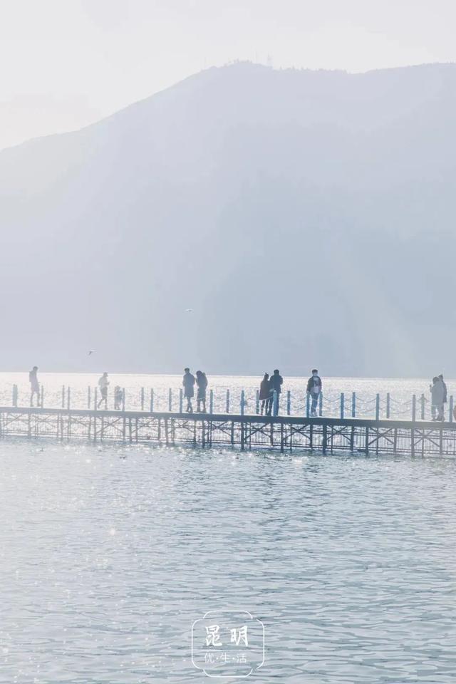 云南最好吃的野生菌在哪，中国最浪漫城市非她莫属