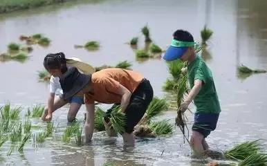 下旬指的是什么时候，下旬指的是几号（为啥谷雨在“月尾”会不好呢）