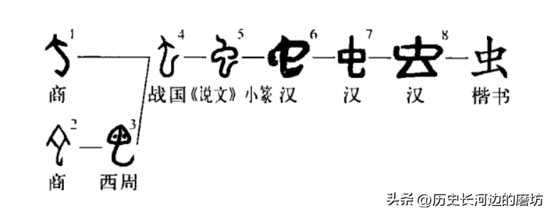 凡兔（说文解字）