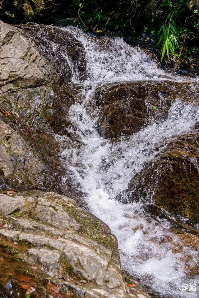 深圳一日游免费必去的地方，深圳最适合一日游的15个免费景点（深圳10个小众打卡地）