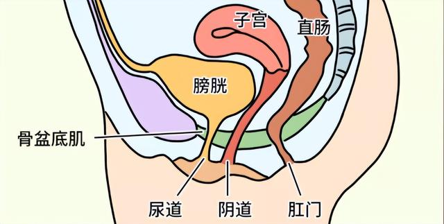 女人经常想那事是不是有问题，女生老是想那方面的事情正常吗（为什么女生啪啪到一半总想上厕所）