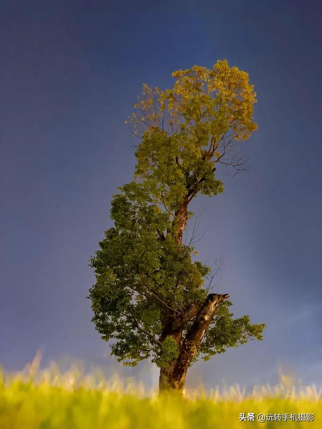 什么情况下拍照用HDR模式，拍照中的hdr是什么模式（你想不到的公园拍照技巧）