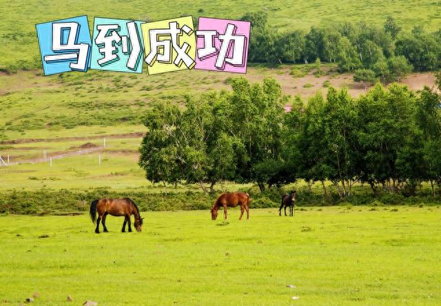 美不胜收的百里天路，赏景避暑的最佳选择