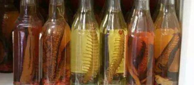 黑蚂蚁泡酒配方，黑蚂蚁泡酒配方文库（广西人的酒桌文化悄然走红）