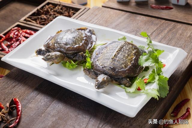 杀甲鱼有几种方法，甲鱼咋个杀（掌握方法一钩一线一饵一晚上就可以钓一桶）