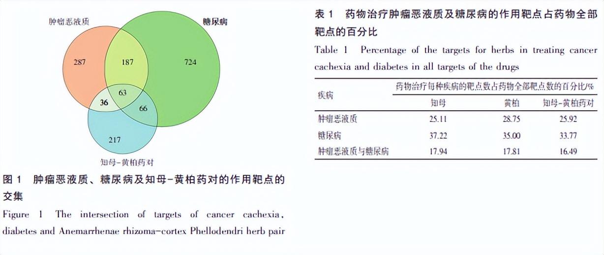 知母黄柏的功效与作用，黄柏和知母都具有的功效（知母-黄柏药对“异病同治”肿瘤恶液质及糖尿病的整合机制研究）