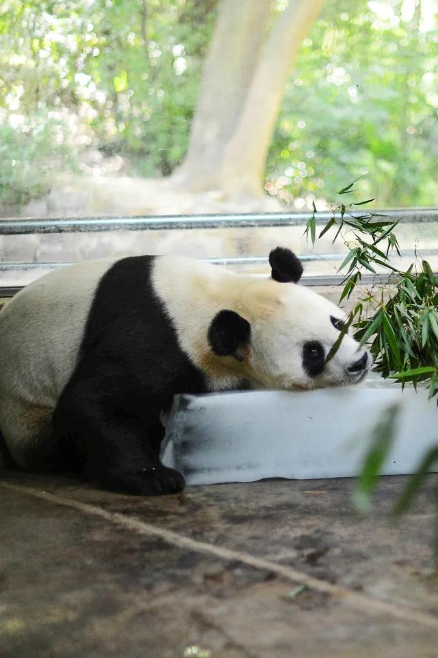 中国四大火炉，2020中国四大火炉（中国四大火炉城市）