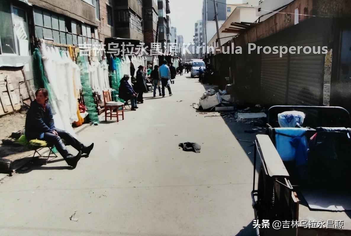 附近的宠物市场(宠物狗市场)
