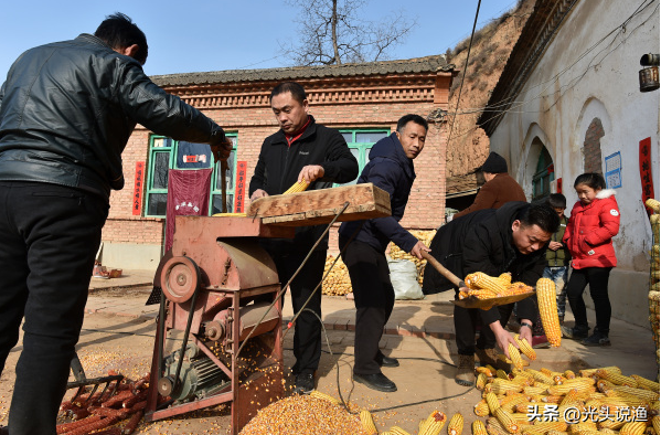 草木灰是什么肥料，草木灰是什么（农村人可能比专家更了解）