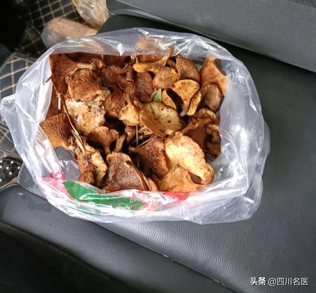 蘑菇多久能煮熟，蘑菇要多长时间可以煮熟（成都一人食用后全身青斑）