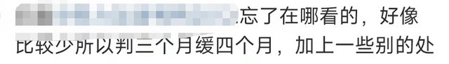 段小薇个人资料，时隔两年变作家仍在圈内捞金