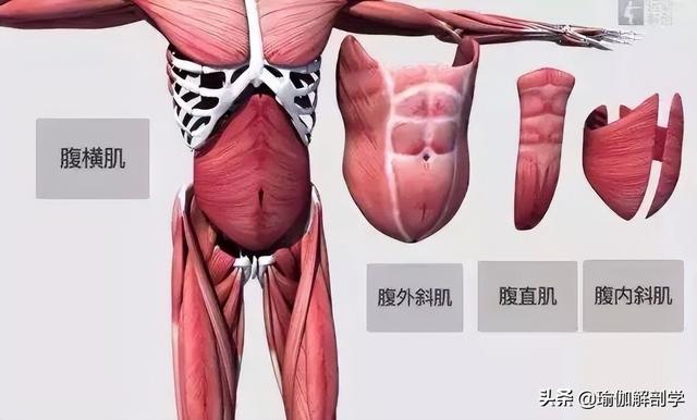 减肥方法瘦肚子，瘦肚子减肥方法（总瘦不下的肚子，这样练才能减）