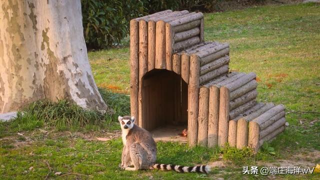 上海最好玩的地方，上海必须去玩的地方有哪些（去上海十个必打卡地）