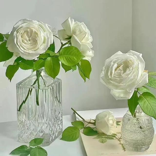 四字网名干净，四字网名干净有寓意男（网名，适合夏天的干净网名）