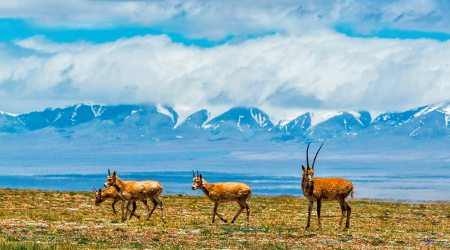 中国十大河流排名，中国最长的河流是什么河（一生必看的中国美景Top20）