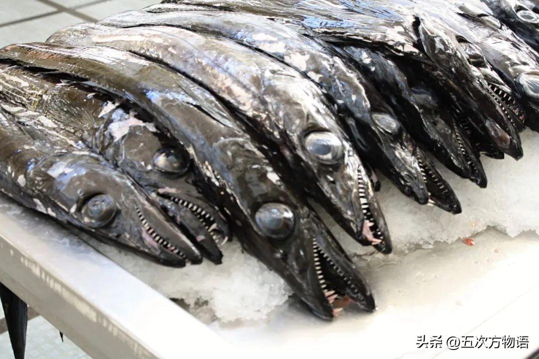 有黑色的带鱼吗?