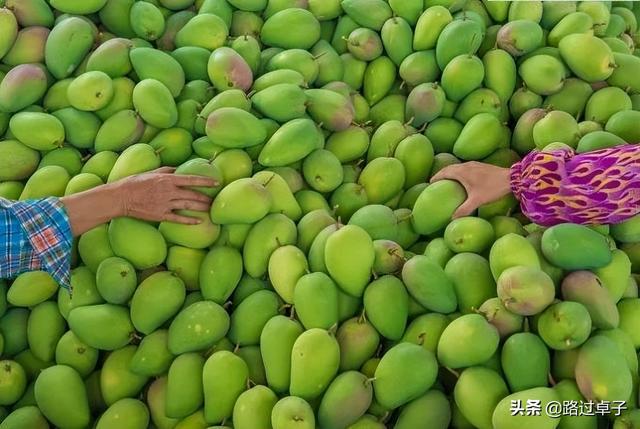 粤南地区包括哪些城市，珠三角是指哪几个城市（藏着百年法租界和石头海）