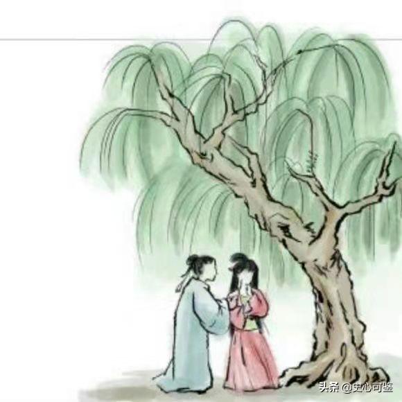 诗经分为哪三部分，诗经分为哪三部分组成（隰有荷华—《诗经•国风》爱情三部曲）