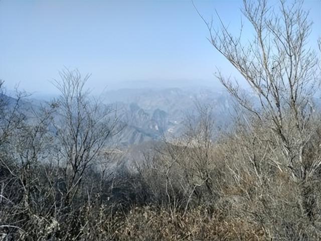 女人梦见吃饺子是什么预兆，女人梦见吃饺子（长大后才懂大姨的心酸）