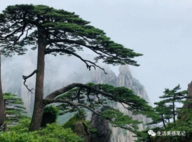 黄山归来不看岳，壮丽盖过五岳的黄山旅游全攻略送上