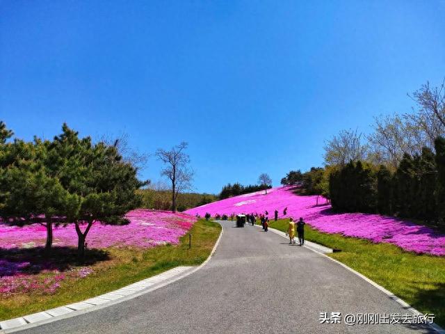 大连景点丨英歌石植物园