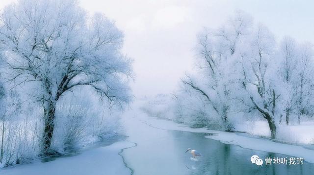 国内适合初学者滑雪的滑雪场，假期嗨起来