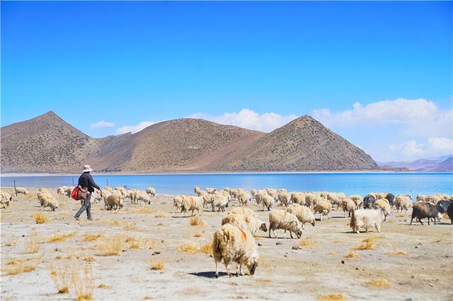 羊湖属于哪里，羊湖属于哪里管辖（遇见人间仙境羊湖最真实的模样）