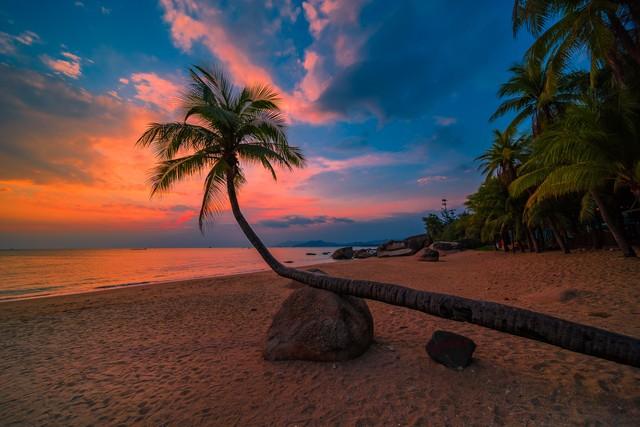 做什么梦说明爱情要来了，什么梦预示真爱到了（爱情魅力追求梦）