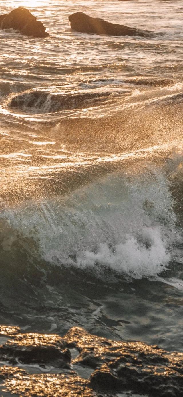 抖音很火的图，抖音很火的图片加文字（超好看的抖音热门潮图壁纸精选）