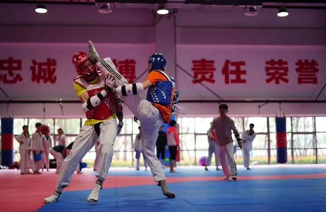 空手道和跆拳道的区别，空手道和跆拳道的区别是什么（柔道、空手道、跆拳道有何不同）