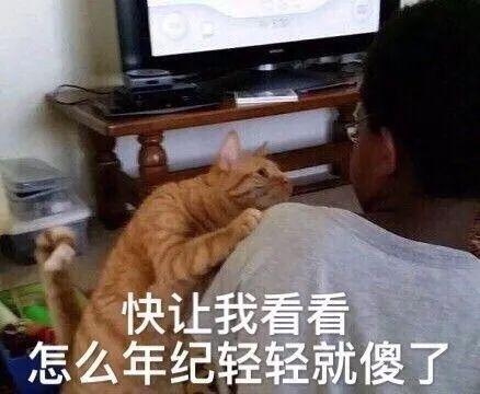 斗图专用，斗图专用表情包熊猫头（表情包，斗图专用表情）