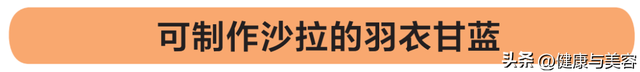 甘蓝菜的营养价值，甘蓝菜的营养价值（详解抗氧化蔬菜羽衣甘蓝）