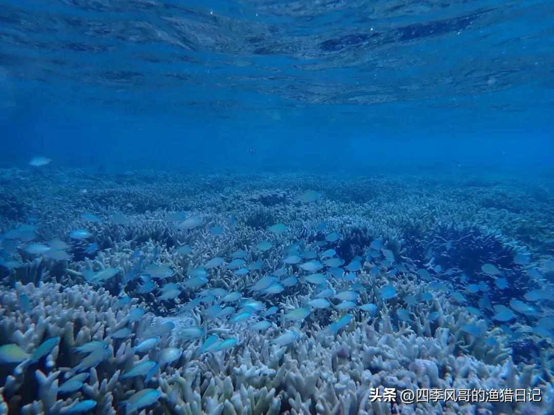 西沙群岛在哪里在什么位置，海南旅游景点西沙群岛位置图