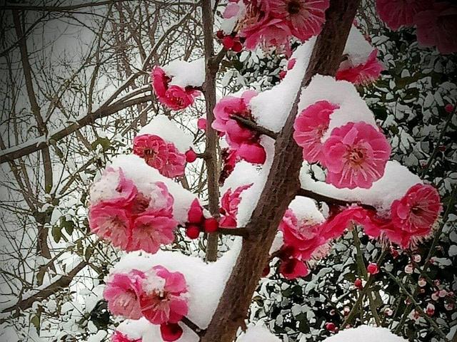 万事胜意搭配下一句是，万事胜意搭配下一句是什么（2023：愿你平安喜乐）