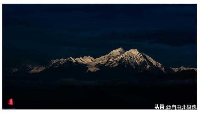 南柯一梦的故事，南柯一梦中的南柯指的是什么（南柯一梦）