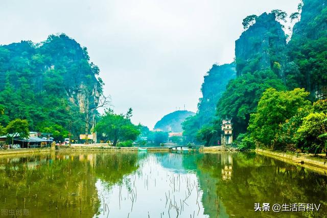 吴虹飞照片，吴虹飞多大了（对某董姓青训专家）