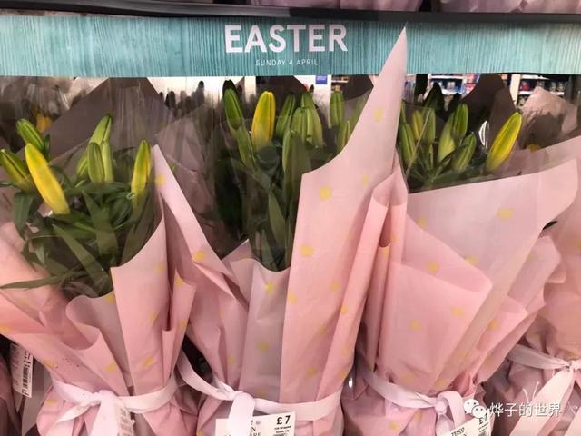 复活节兔子的由来，兔子能活多少岁（跟我一起了解英国复活节的传统）