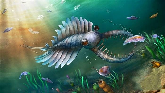 邓氏鱼vs巨齿鲨(远古生物争霸史)