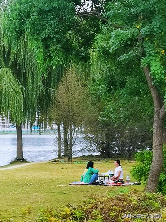 郑州龙湖湿地公园现状分析，河南郑州龙湖湿地公园秋色初露
