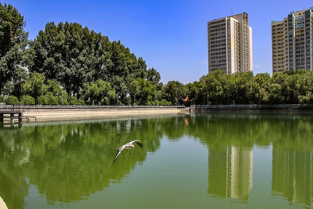 暑假带娃旅游去处，暑假带娃去哪里旅游（国内适合亲子游的七个地方）