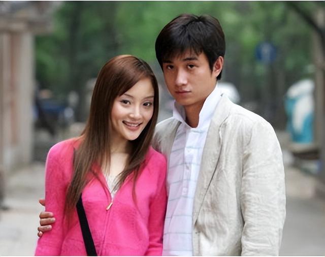 文章主演的电视剧，文章主演的电视剧大全集（人生差距一个天一个地）