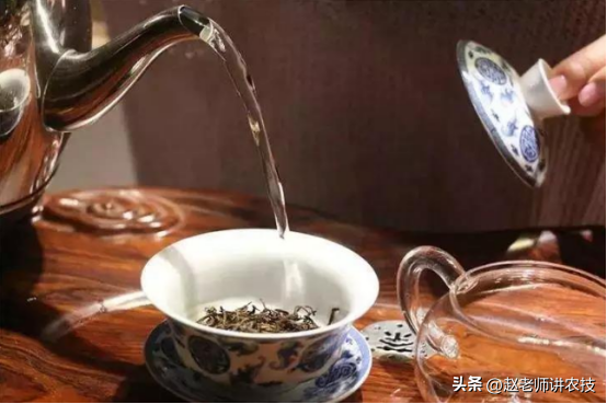 花茶的冲泡方法，怎么煮花茶花茶的泡法技巧（教你3个正确的泡茶方法）