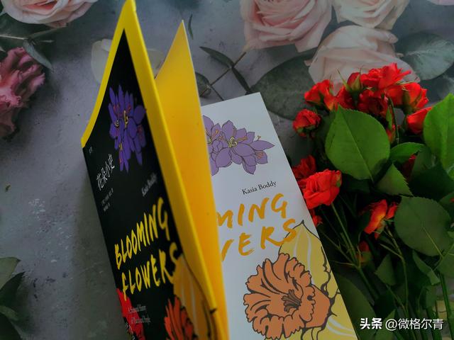 玫瑰的花语和它的传说，玫瑰的花语和它的传说有关（花朵在人类文明中的历史故事）