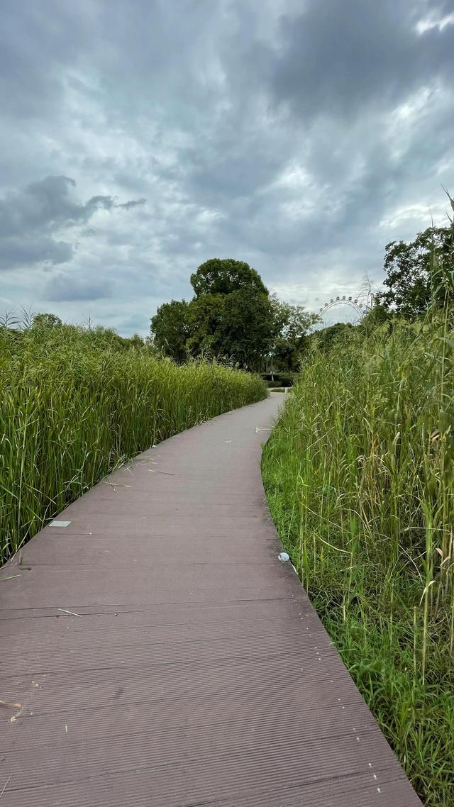 上海到青岛多远，上海到青岛的路程（上海青岛往返1400公里全程无高速沿途城市蜻蜓点水游）