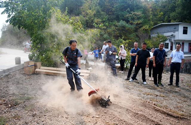 山核桃采摘机，“量身定做”核桃采收机（山核桃采摘机视频）
