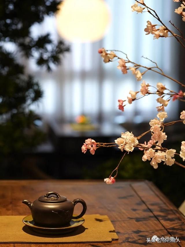 山中访友好词好句,山中访友的赏析(总有山月,待人归)