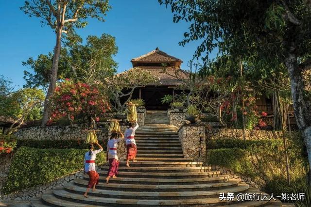 香兰叶的种植方法，香兰怎么种植（你准备迎接美好盛夏了吗）