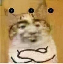 小米手机安全中心属于什么软件，小米手机的安全中心在哪儿（MIUI“抄袭”鸿蒙）